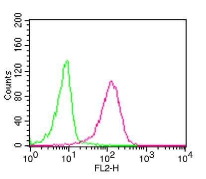 CD68 Antibody