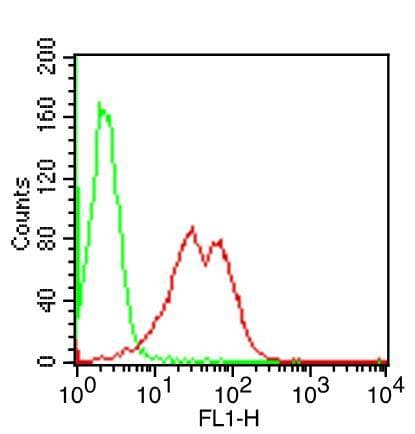 TLR9 Antibody (FITC)