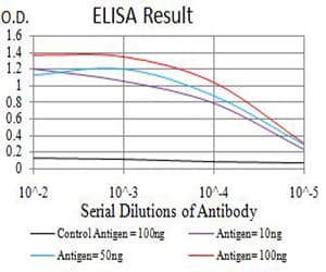 AP50 / AP2M1 Antibody (clone 4F1B2)