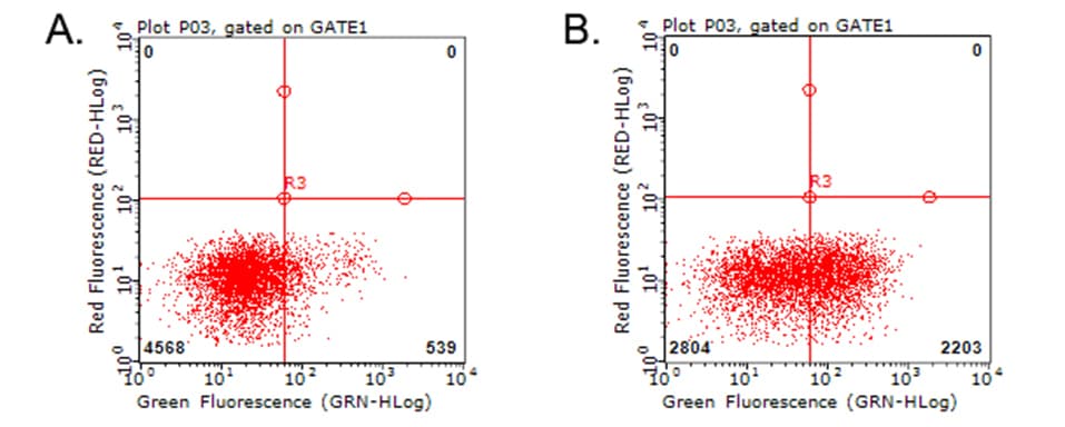 Monoclonal Mouse anti-Human HAVCR2 / TIM-3 Antibody (clone OTI2F11, WB)
