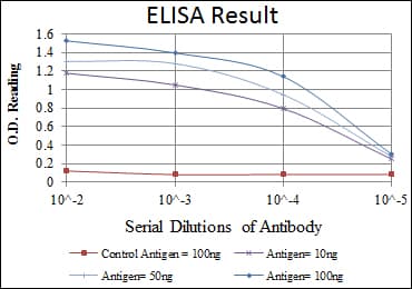 IHC-plus™ EPHA10 / EPH Receptor A10 Antibody (clone 2E8)
