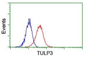 TULP3 Antibody (clone OTI7B8)