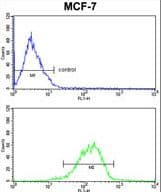 RBM3 Antibody (aa128-157)