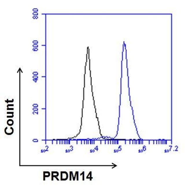 Goat Anti-Rabbit IgG Secondary Antibody (DY488)