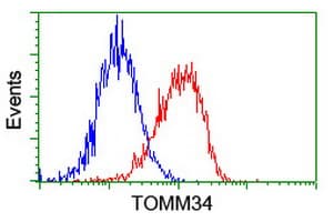TOMM34 Antibody (clone OTI1G7, Carrier-free)