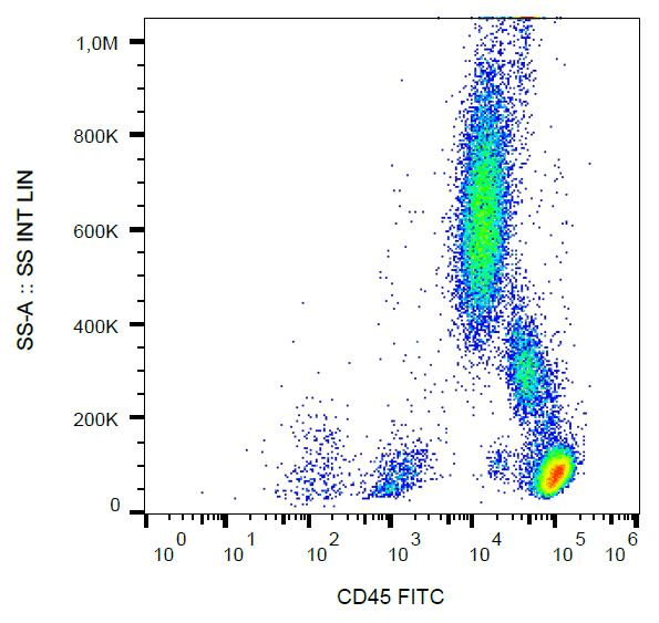 Monoclonal Mouse anti-Human CD45 / LCA Antibody (clone MEM-28, FITC, IHC, WB)