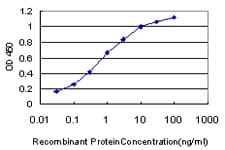 CDADC1 Antibody (clone 1A2)