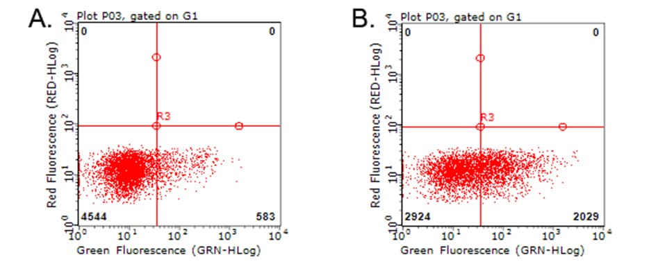 TNFRSF9 / 4-1BB / CD137 Antibody (clone OTI1F8)