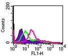 IHC-plus™ IL24 Antibody (aa100-150)