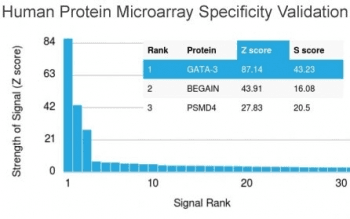 GATA3 Antibody (clone GATA3/2688)