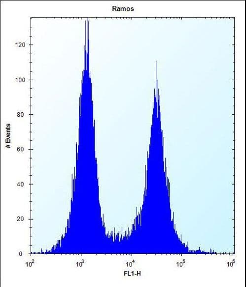 CD27 Antibody (aa196-225)
