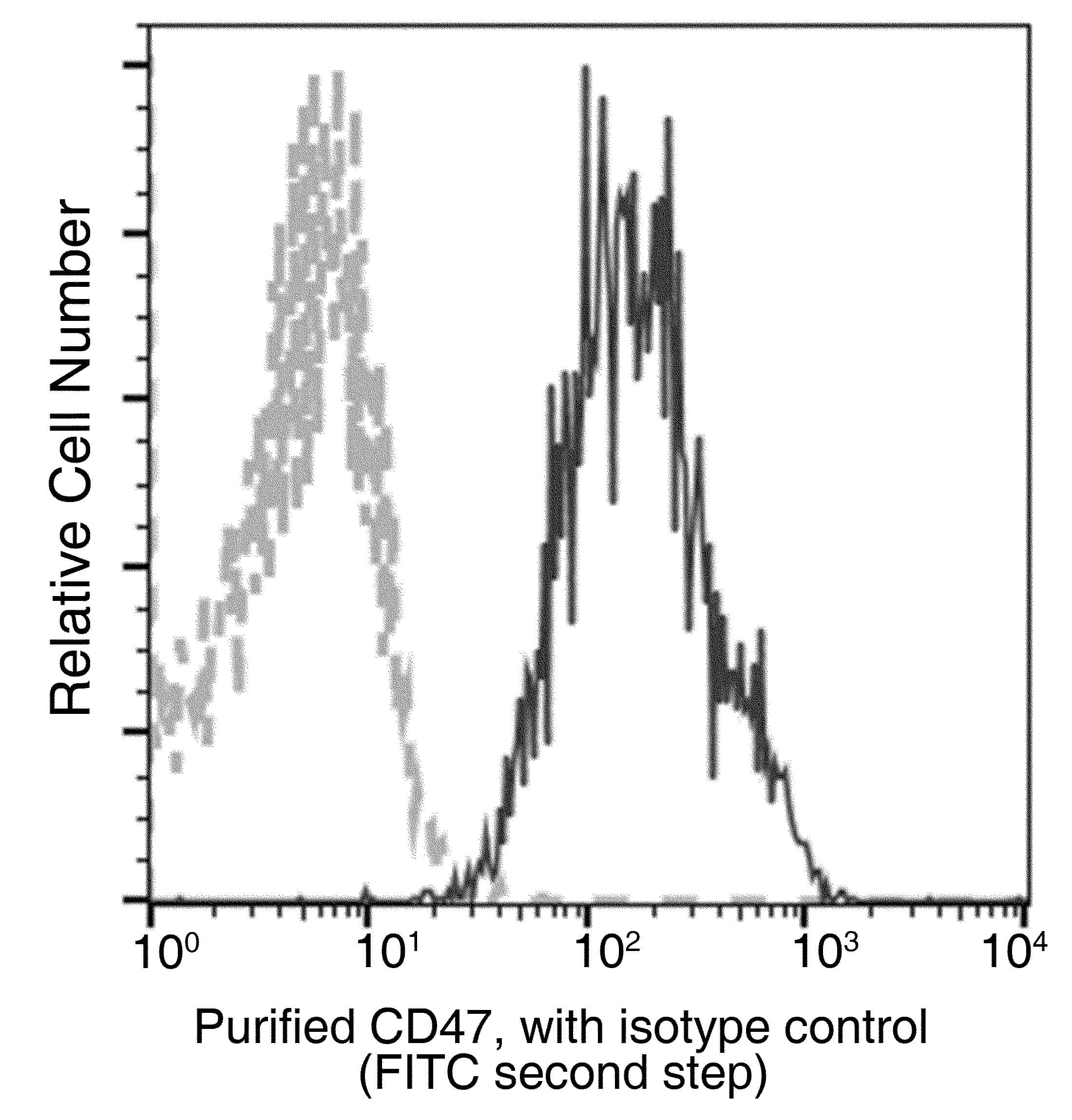 CD47 Antibody (clone 07, Preservative Free)