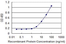RPS6KA1 / RSK1 Antibody (clone 4E11)
