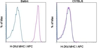Monoclonal Mouse anti-Mouse MHC Class I H-2Kd Antibody (clone SF1-1.1.1, APC)