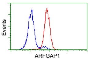 ARFGAP1 Antibody (clone OTI1H4)