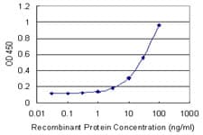 ANXA9 Antibody (clone 5G3)