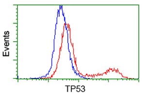 TP53 / p53 Antibody (clone OTI5D9)