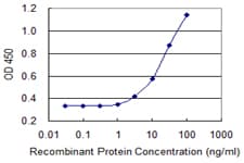 IHC-plus™ PRKDC / DNA-PKcs Antibody (clone 2A8)
