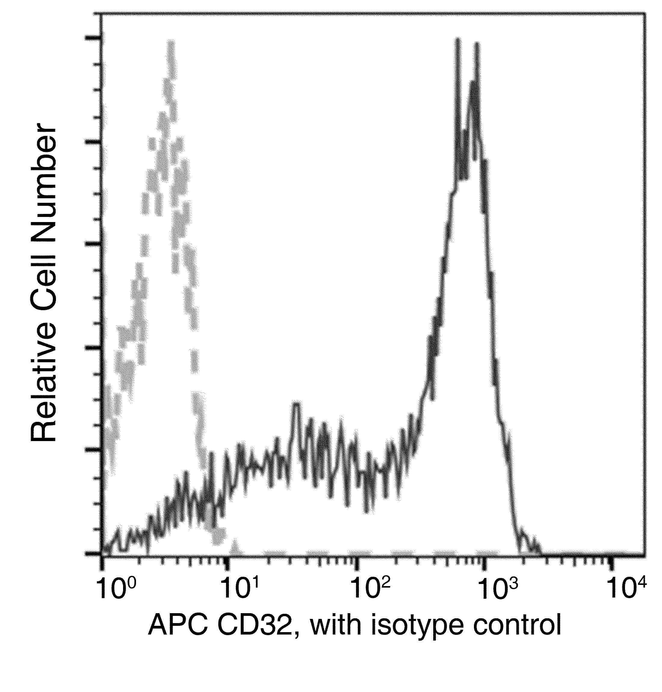 CD32B Antibody (clone 046, APC)