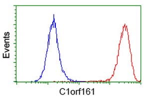MAB21L3 / C1orf161 Antibody (clone OTI1F6, Carrier-free)
