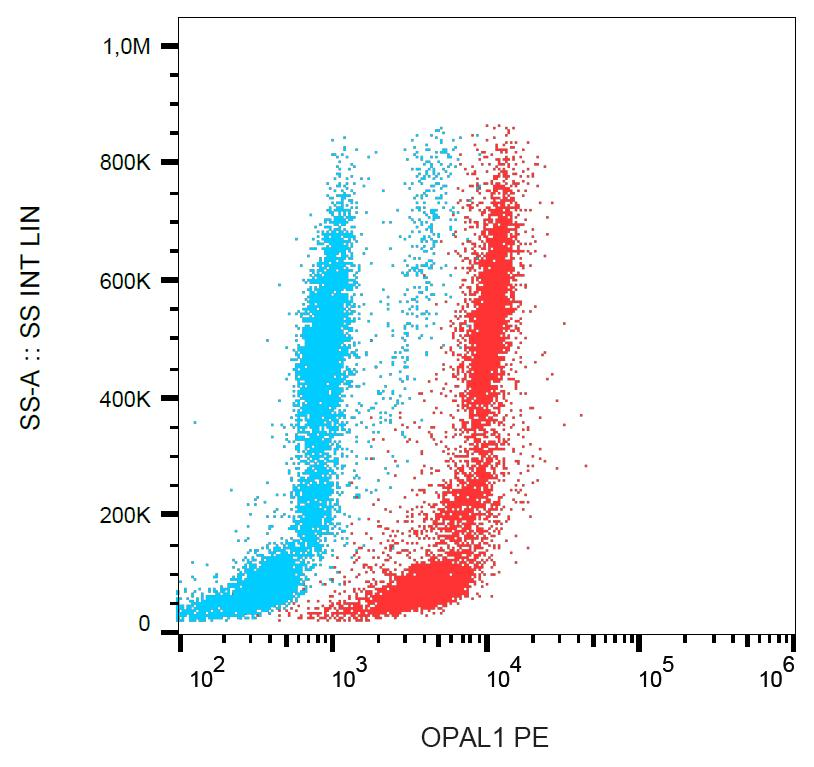 C10orf26 / OPAL1 Antibody (clone OPAL1-01, PE)