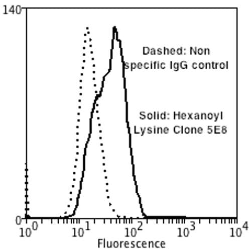 Hexanoyl-Lysine adduct Antibody (clone 5E8, APC)
