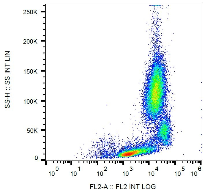 ITGB2 / CD18 Antibody (clone MEM-148, PE)