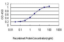 MAN1B1 Antibody (clone 6B1)