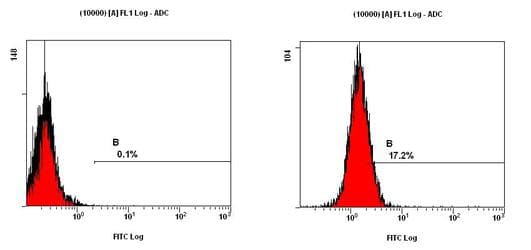 ATP1A1 Antibody (clone 464.6 (6H))