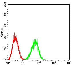 TREM1 Antibody (clone 6B12D1)
