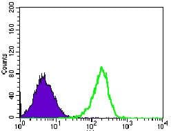 MRPL42 / MRPS32 Antibody (Amino Acid: 142-203, clone 3H6G11)