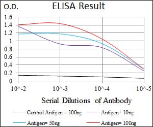 GATA6 Antibody (aa491-557, clone 2F10G3)