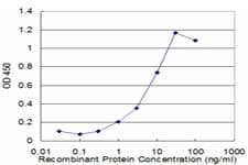 PGAM1 Antibody (clone 4F5-D8)