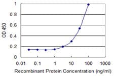 Zfp105 / ZNF35 Antibody (clone 2B4)