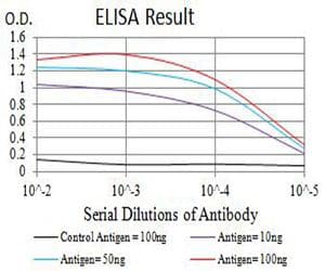 BAK1 / BAK Antibody (clone 2H9H7)