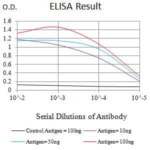 CLEC10A / CD301 Antibody (clone 2C5C6F10)