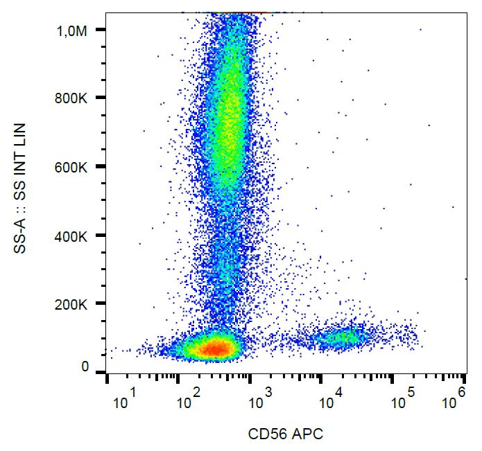 NCAM / CD56 Antibody (clone LT56, APC)