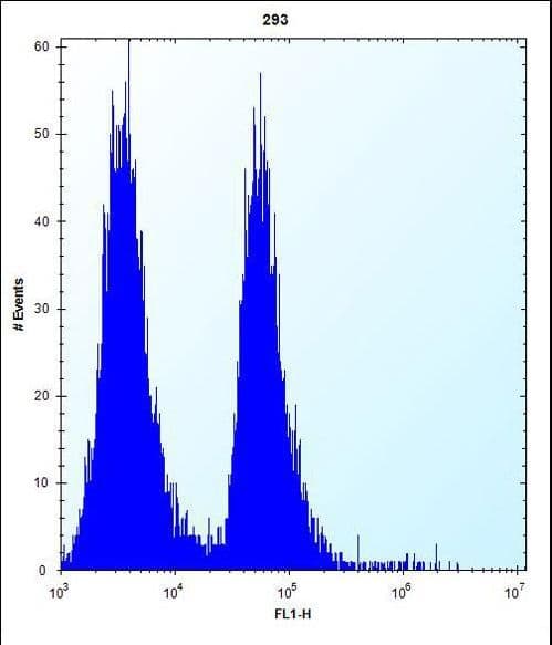 p14ARF / CDKN2A Antibody (aa72-101)