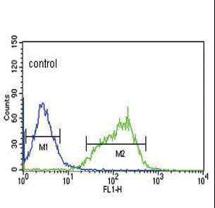 GLS / Glutaminase Antibody (aa516-545)