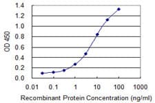 Monoclonal Mouse anti-Human SERPINB1 Antibody (clone 4A7, WB)