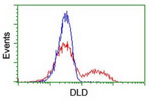 DLD / Diaphorase / E3 Antibody (clone OTI5G7)