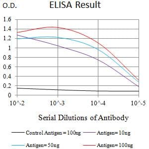 FZD4 / Frizzled 4 Antibody (clone 2F3A7)