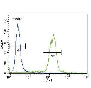 B2M / Beta 2 Microglobulin Antibody (aa8-39)