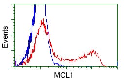 MCL1 / MCL 1 Antibody (clone OTI10F6)