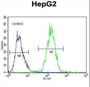 RDH13 Antibody (aa166-194)