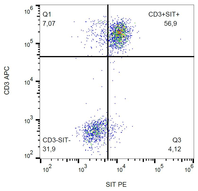 Monoclonal Mouse anti-Human SIT1 Antibody (clone SIT-01, PE, Intracellular, WB)