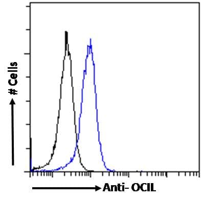 IHC-plus™ Polyclonal Goat anti-Human CLEC2D / OCIL / LLT1 Antibody (aa122-131, IHC, IF, WB)