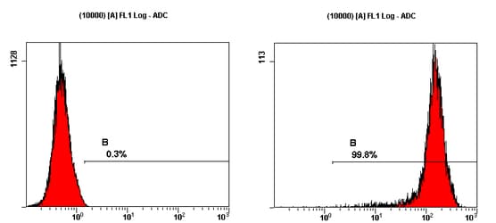 PathPlus™ SSEA-1 / Lewis x / CD15 Antibody (clone MC-480)