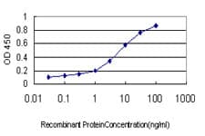 INSRR Antibody (clone 6E6)