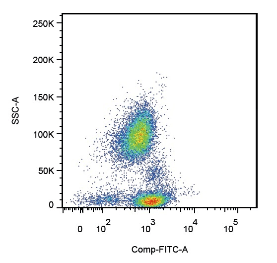 IHC-plus™ Monoclonal Mouse anti-Human SELPLG / PSGL-1 / CD162 Antibody (clone TC2, IHC)